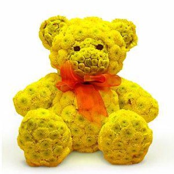 Yellow bear
