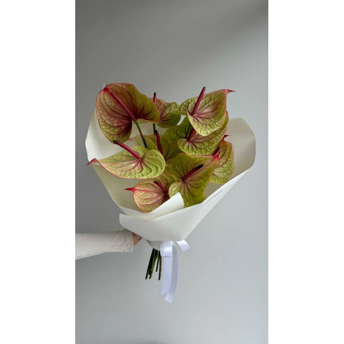 Антуриумы в Атырау