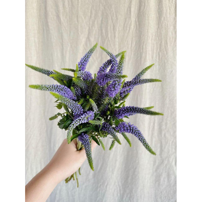 Вероника в Атырау