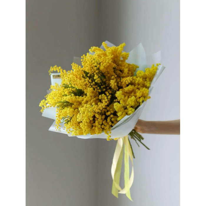 Мимоза в Атырау