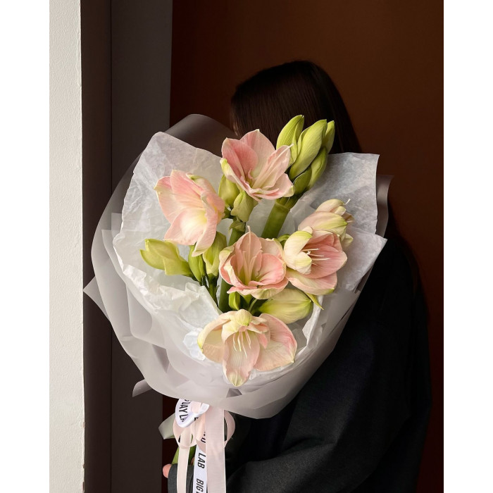 Амариллис в Атырау