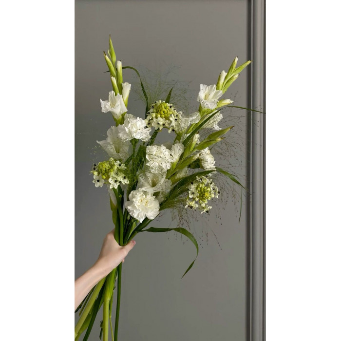 Орнитогалум в Атырау