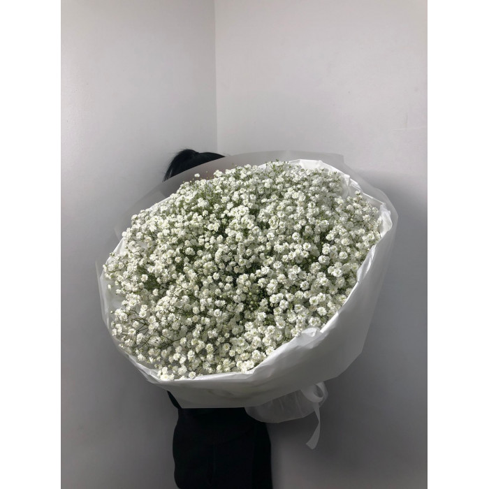 Гипсофила классическая в Атырау