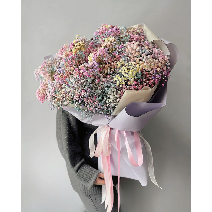 Гипсофила цветная в Атырау