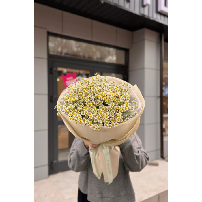 Танацетум в Атырау